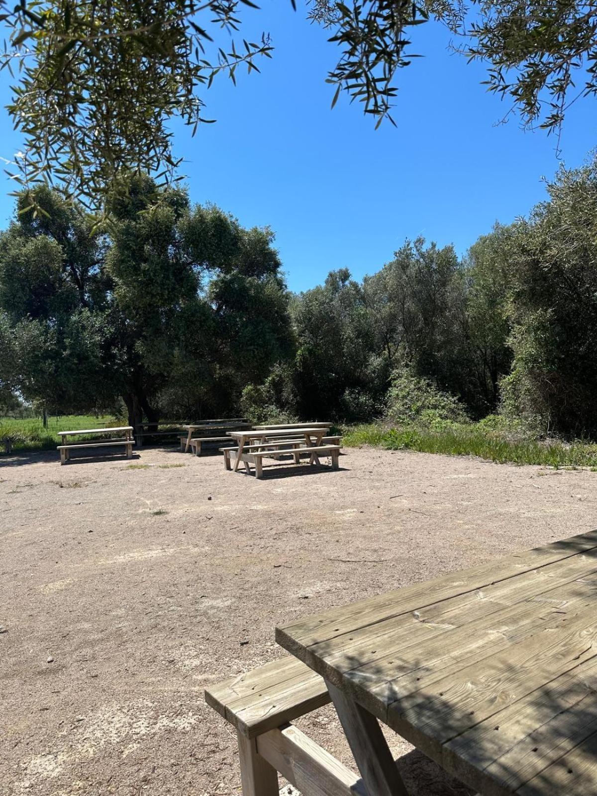 Villa Edu La Pobla de Farnals Esterno foto